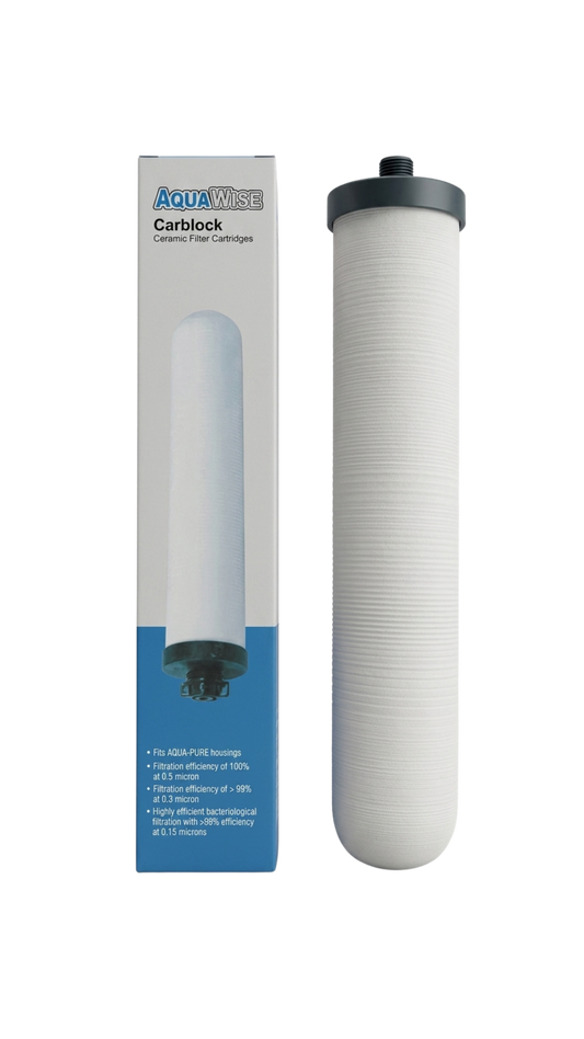 CERAMIC FILTER CARTRIDGES WITH CARBON